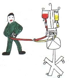 iv