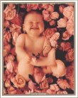 FlowerBaby