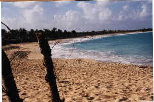 Prune Bay is a postcard perfect beach.