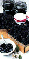 Blackberry Jam
