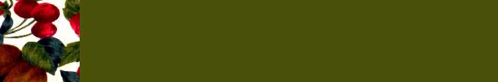 borded bg02