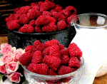 Raspberries