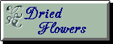 Dried Flowers