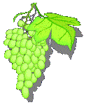 Grape