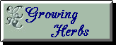 Herbs