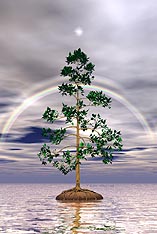 Living Tree