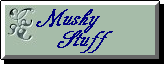 Mushy Graphics