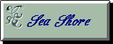 SeaShore Graphics