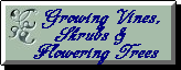 Growing Vines,Shrubs & Flowering Trees