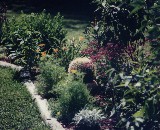 Side Garden