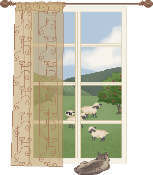 window