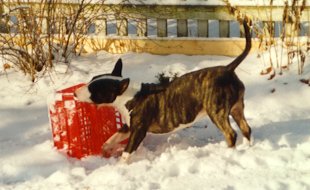 One of Lucy's favourite pasttimes