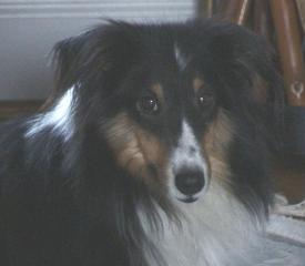 Patti