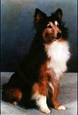 Cisco - 13 years