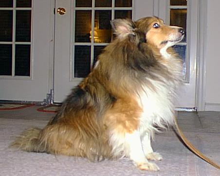 Gem Beau