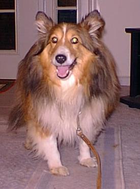 Gem Beau