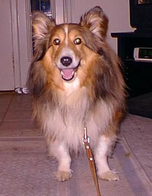 Gem Beau