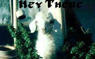Hey There!