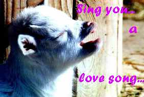 sing you a lovesong