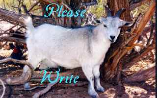 please write
