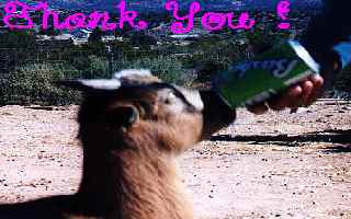 thank you!