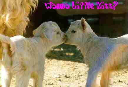 wanna kiss?
