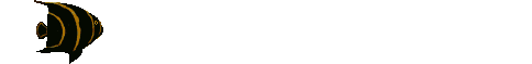 00.gif (18161 bytes)