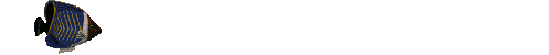 01a.gif (23458 bytes)
