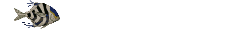 04a.gif (35841 bytes)