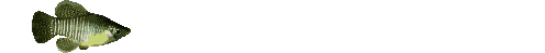 05a.gif (35092 bytes)