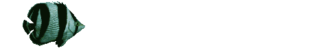 08a.gif (39384 bytes)