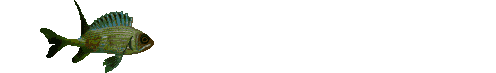 13a.gif (34744 bytes)