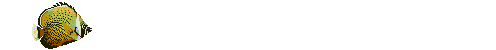 coa.gif (22569 bytes)
