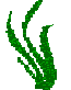 wave1.gif (4053 bytes)