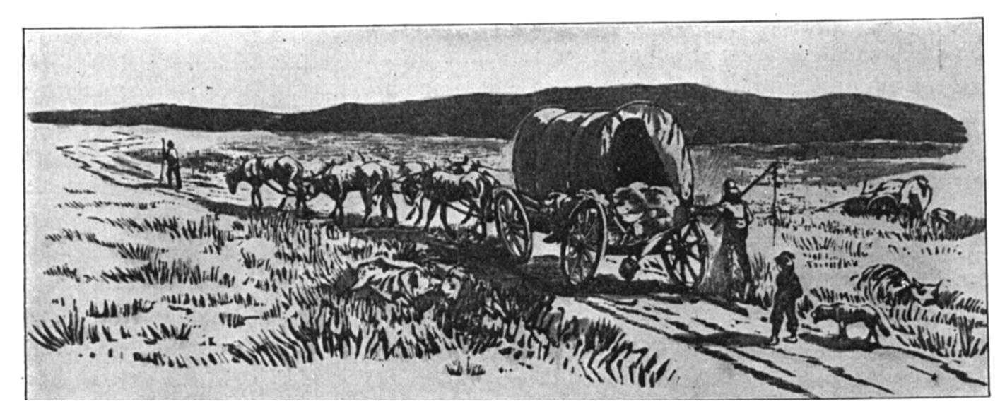 widewagon.jpg (98859 bytes)
