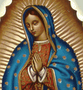 Guadalupe
ProLifeAward