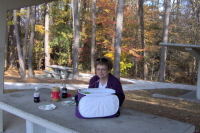 Click on image to enlarge.
