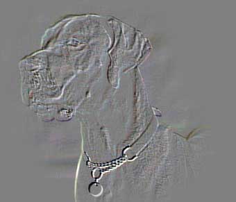 emboss1.JPG (11756 bytes)