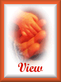 View Guestbook