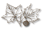leafacorn.gif (5957 bytes)