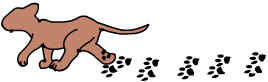 cattracks.bmp (66886 bytes)