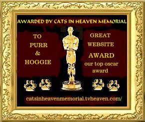 Top Oscar Award 
 - 5/4/2002