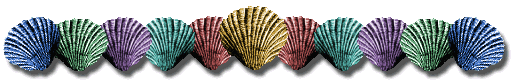 shells