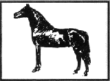 Next Morgan Site