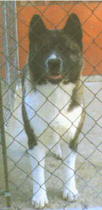 Grace at Home