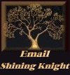 Email Shining Knight