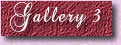 Gallery 3