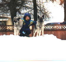 josh picture
