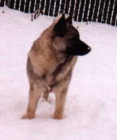 Mandy picture