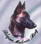 Malinois Ring Graphic